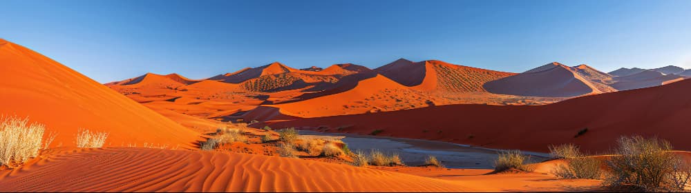 Middle East and North Africa